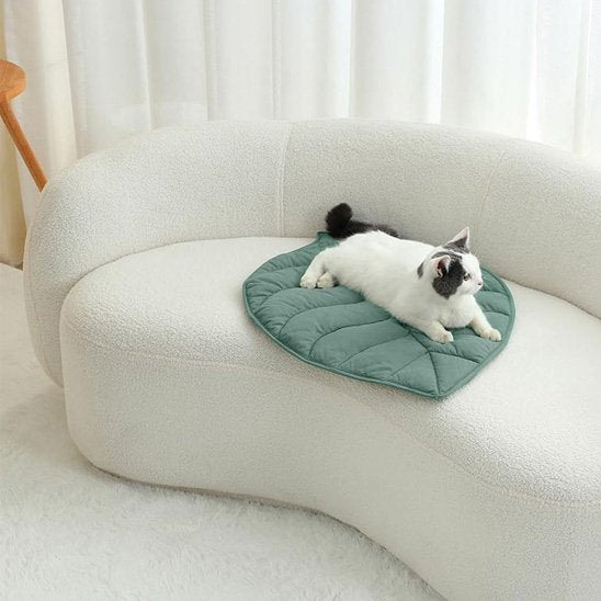 Coussin chat esthétique et fonctionnel posé sur canapé