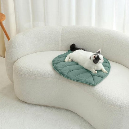 Coussin chat esthétique et fonctionnel posé sur canapé