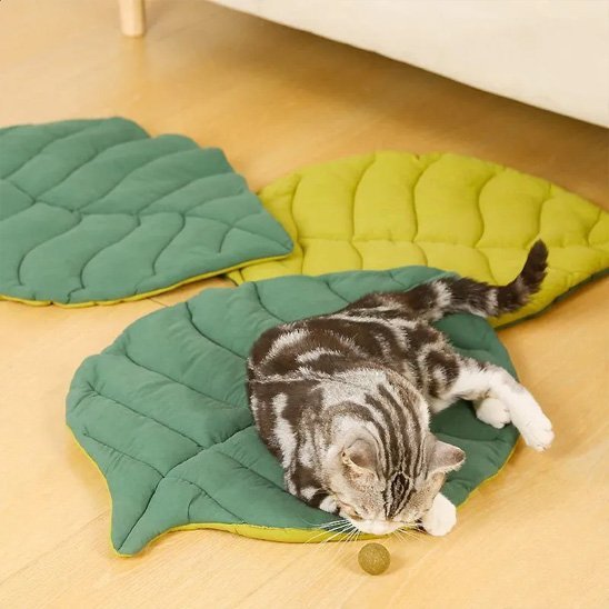 Coussin chat en forme de feuille utilisé par un chat