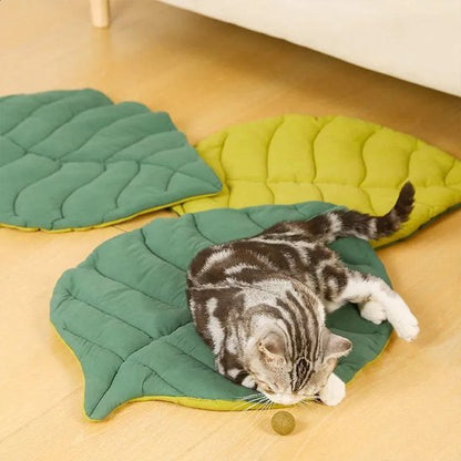 Coussin chat en forme de feuille utilisé par un chat