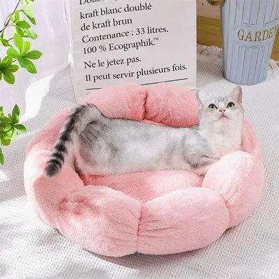 Coussin pour chat chaleur confort articulaire peluche forme fleur