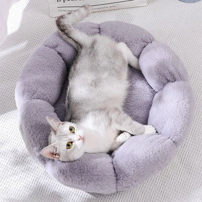Coussin pour chat chaleur confort articulaire peluche forme fleur
