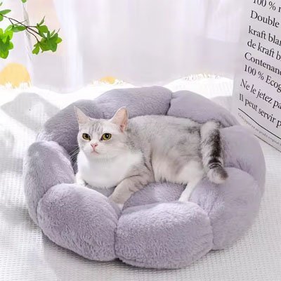 Coussin pour chat chaleur confort articulaire peluche forme fleur