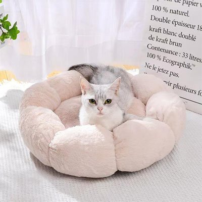 Coussin pour chat chaleur confort articulaire peluche forme fleur