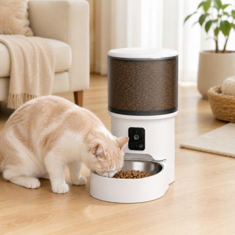 Distributeur automatique de croquettes pour chat avec bol inox