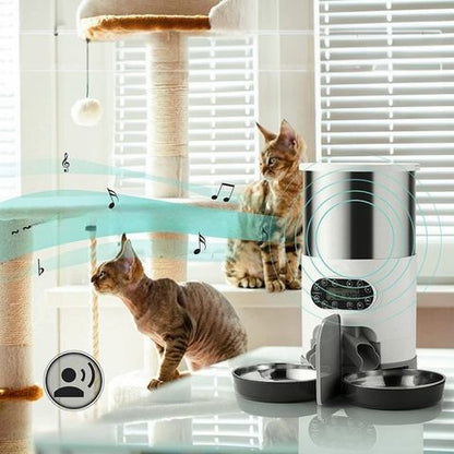 distributeur automatique croquettes chat double bol voix vidéo
