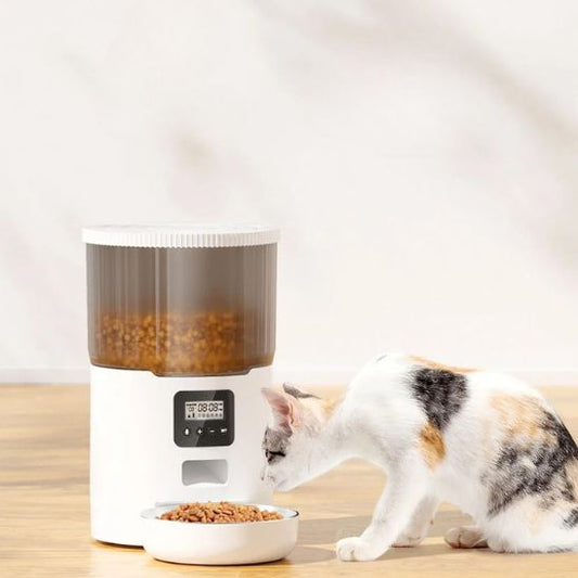 distributeur automatique croquettes chat blanc