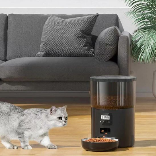 distributeur automatique croquettes chat noir