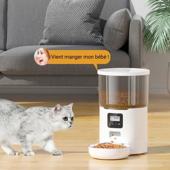 distributeur automatique croquettes chat blanc message vocal