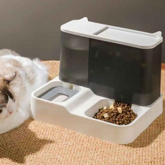 distributeur non connecté chat fiable pour croquettes et eau 