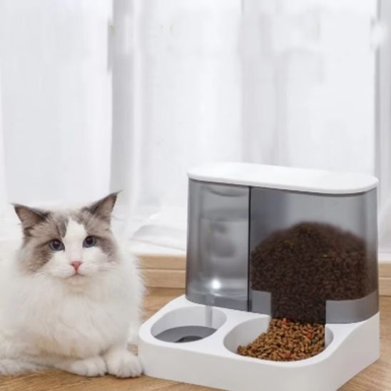 distributeur eau et nourriture pour chat plastique