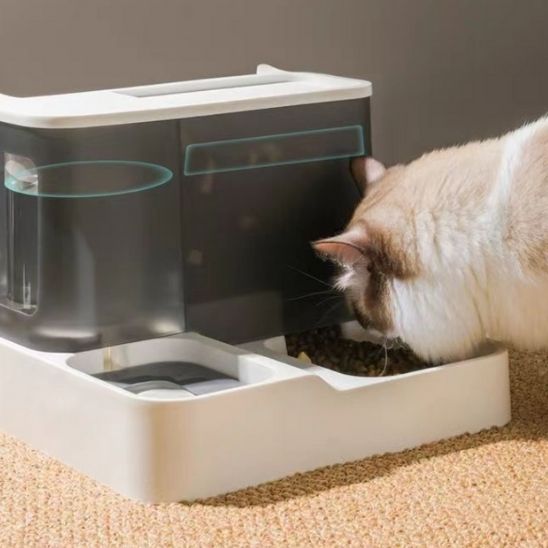 distributeur croquette et eau à gravité pour chat