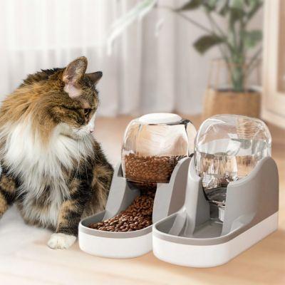 distributeur croquette chat ensemble eau gravité automatique plastique gris 