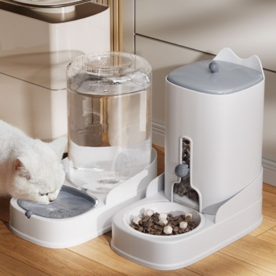 distributeur croquette chat ensemble duo nourriture eau blanc