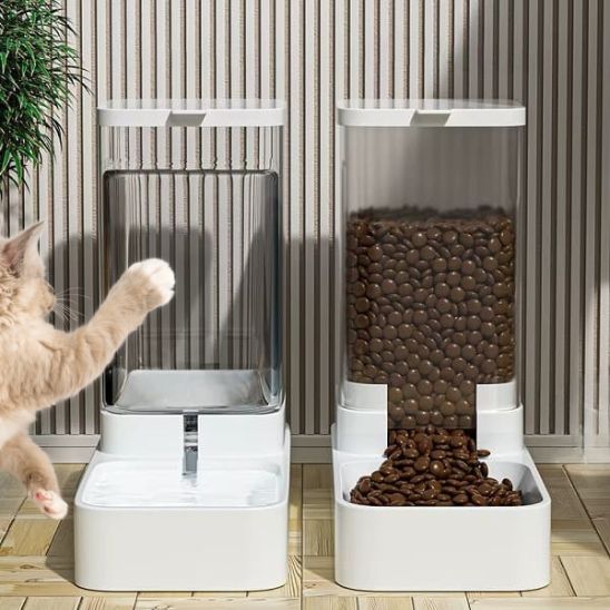 distributeur croquette chat et eau ensemble plastique