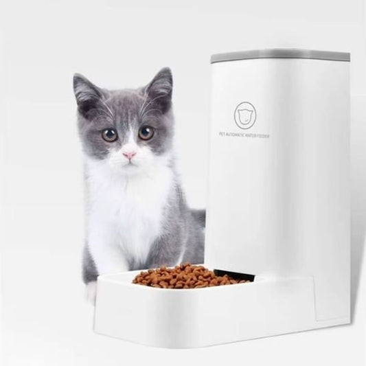 distributeur croquette chat gravité