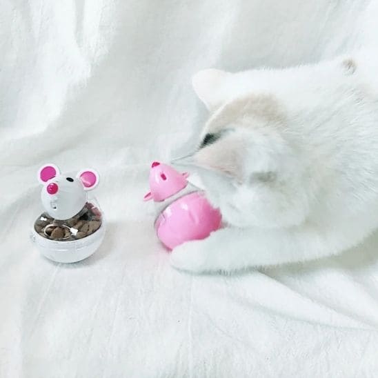 distributeur croquette chat jouet souris rotatif plastique