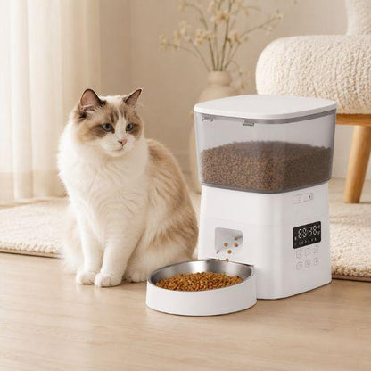 Distributeur croquettes chat automatique blanc avec chat