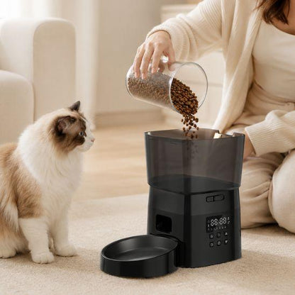 Distributeur croquettes chat automatique noir avec chat