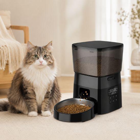 Distributeur croquettes chat automatique noir avec chat