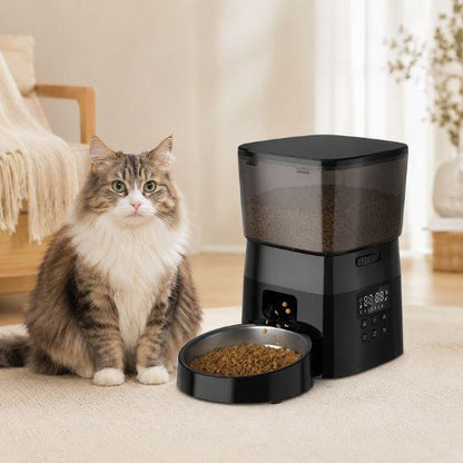 Distributeur croquettes chat automatique noir avec chat