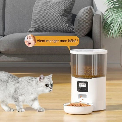 distributeur croquettes chat automatique blanc message vocal