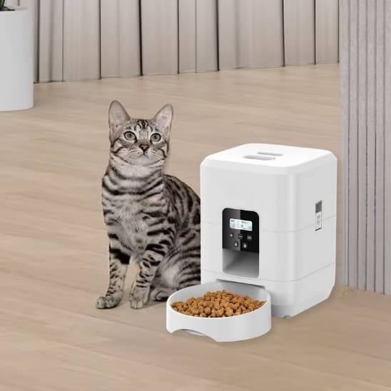 distributeur croquettes chat blanc compact élégant