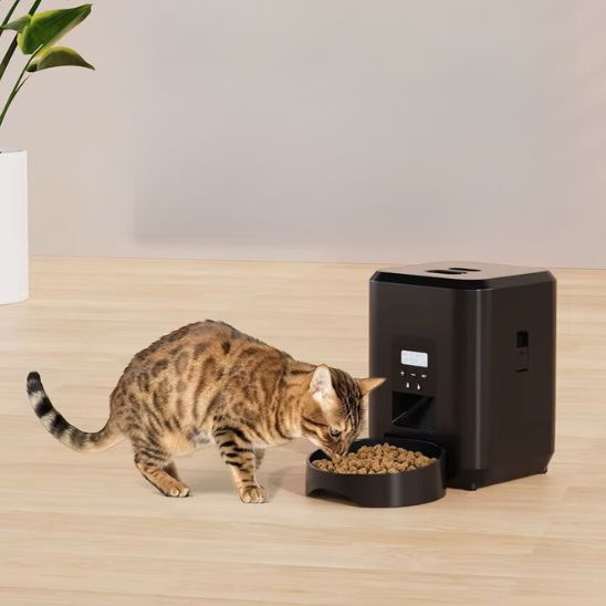 distributeur croquettes chat compact plastique programmables