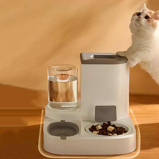distributeur croquettes chat deluxe ensemble bouteille eau croquettes