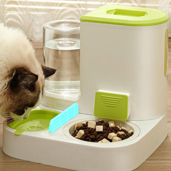 distributeur croquettes chat deluxe ensemble bouteille eau nourriture