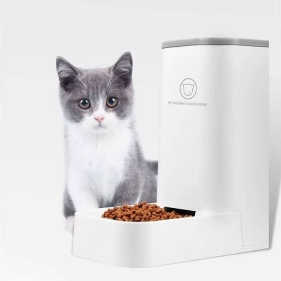 distributeur croquettes chat gravité