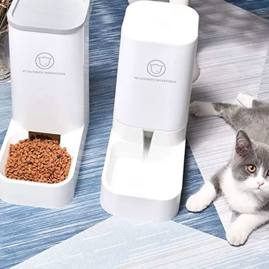distributeur croquettes chat gravité plastique blanc eau