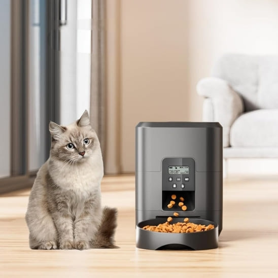 distributeur croquettes chat noir compact et programmable