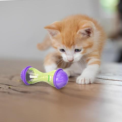 distributeur croquettes chat roule miam jouet distributeur croquettes plastique