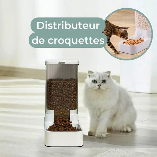 distributeur croquettes chat simple