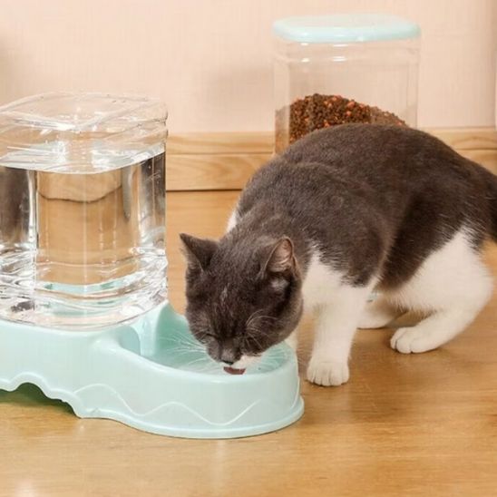 distributeur croquettes pour chat gravité croquettes eau