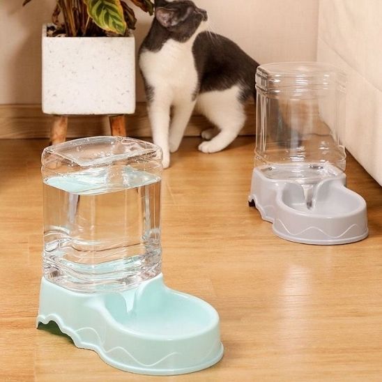 distributeur croquettes pour chat gravité eau bleu gris