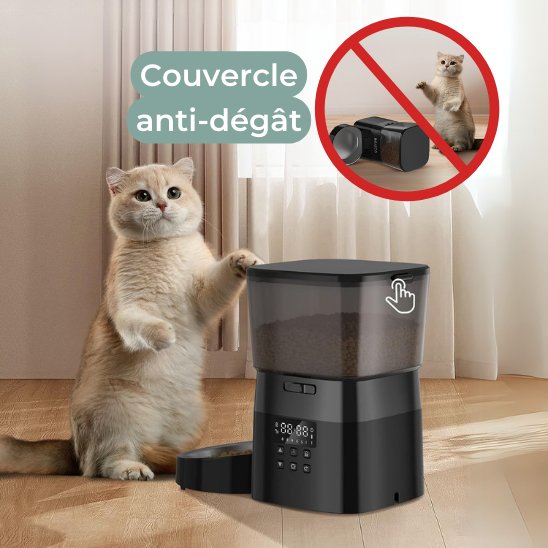 distributeur de croquettes pour chat anti-dégât