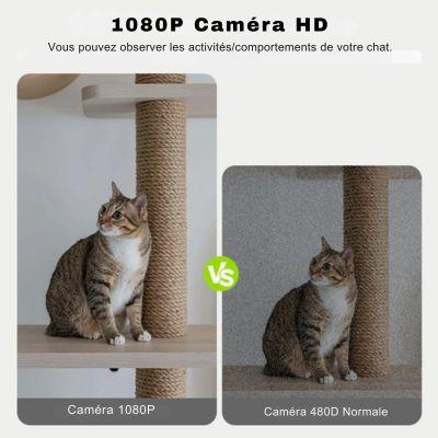 distributeur de croquettes pour chat automatique caméra HD vision nocturne