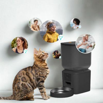 distributeur de croquettes pour chat automatique caméra HD vision nocturne