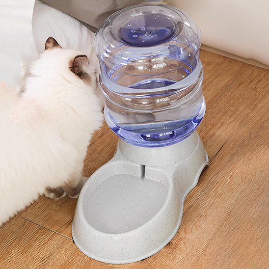 distributeur à eau pour chat gris grand format