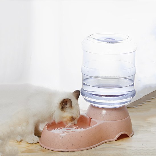 distributeur d'eau pour chat rose