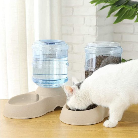 ensemble d'un distributeur de croquettes pour chat gris et d'un distributeur à eau pour chat gris