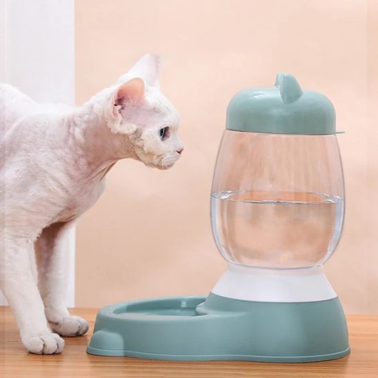 distributeur de croquettes pour chat gravité eau