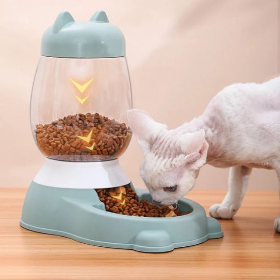 distributeur de croquettes pour chat gravité
