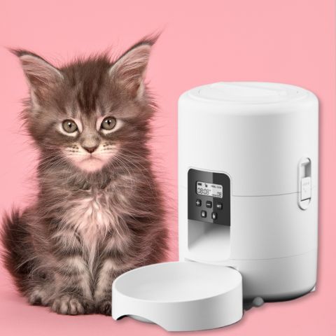 distributeur de croquettes pour chat blanc fiable
