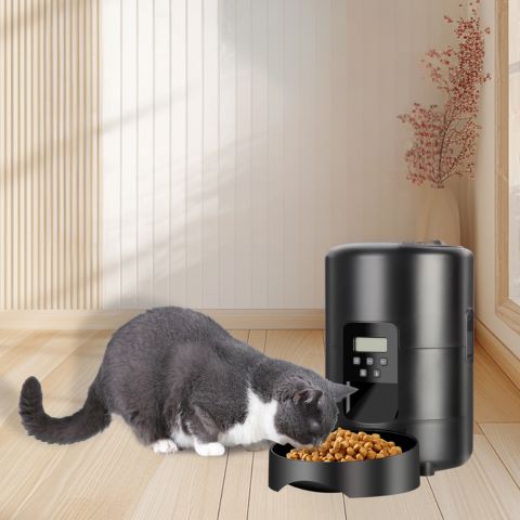 distributeur de croquettes pour chat fiable