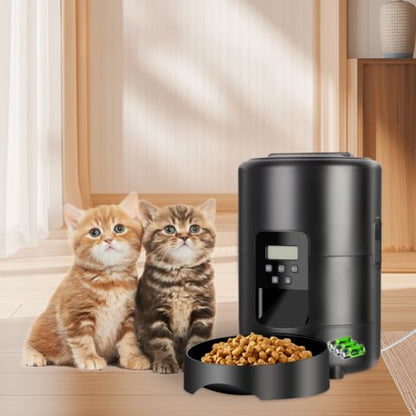 distributeur de croquettes pour chat multichat