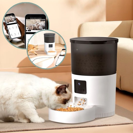 distributeur de croquettes pour chat programmable et précis pour une alimentation contrôlée 