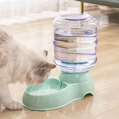 distributeur eau chat automatique siphon gravité vert